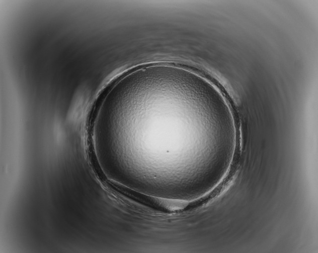 X0000087691501200705111310
