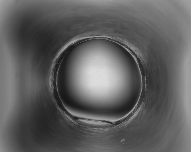X0000087691502200705111310