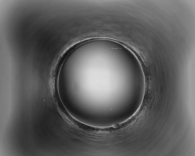X0000087691503200705111310