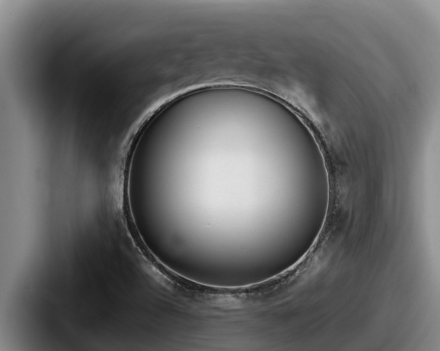 X0000087691504200705111310