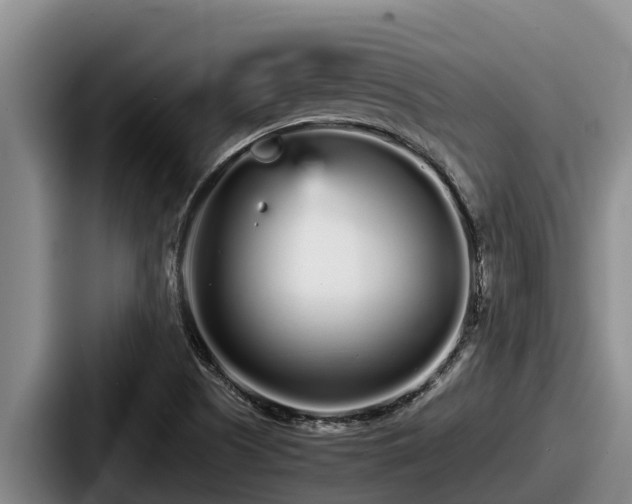 X0000087691505200705111310