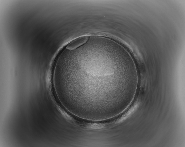 X0000087691506200705111310
