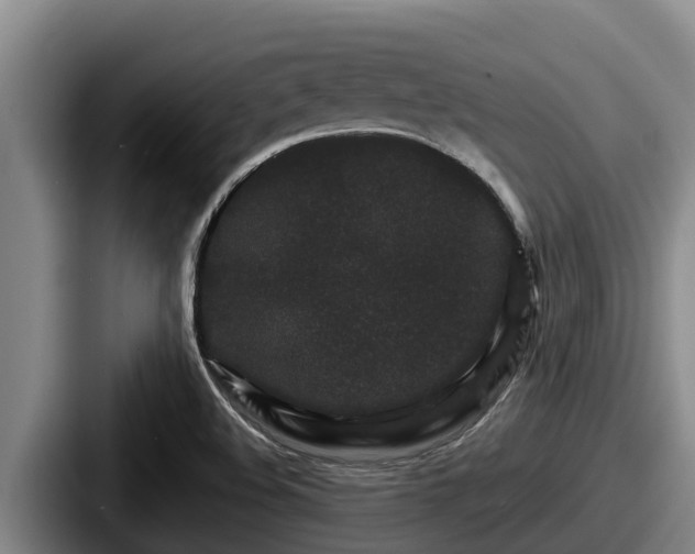 X0000087691508200705111310