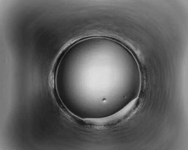 X0000087691509200705111310