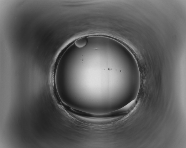 X0000087691510200705111310
