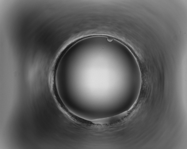 X0000087691511200705111310