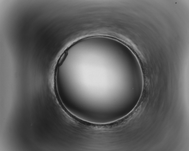 X0000087691512200705111310