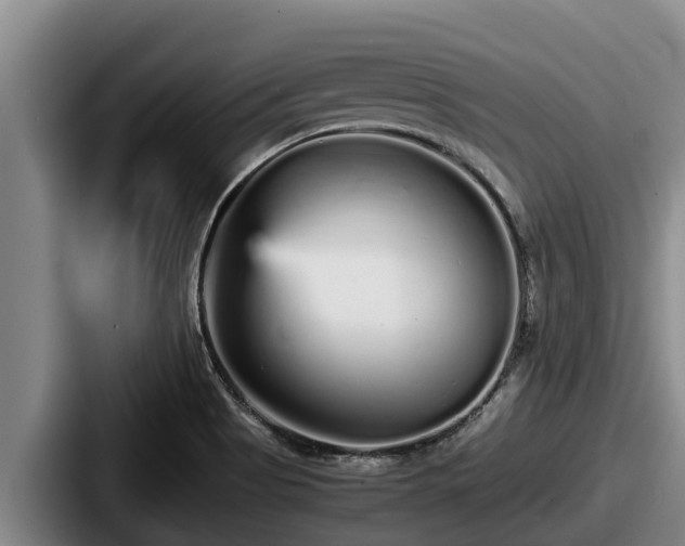 X0000087691513200705111310