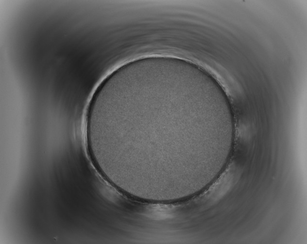 X0000087691514200705111310