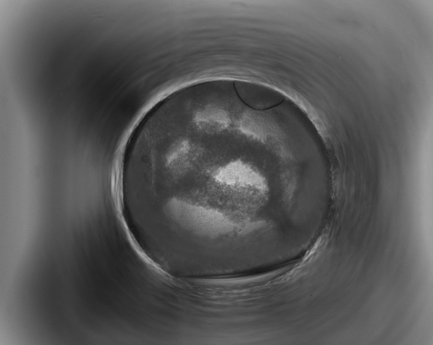 X0000087691515200705111310