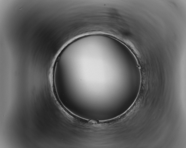 X0000087691516200705111310