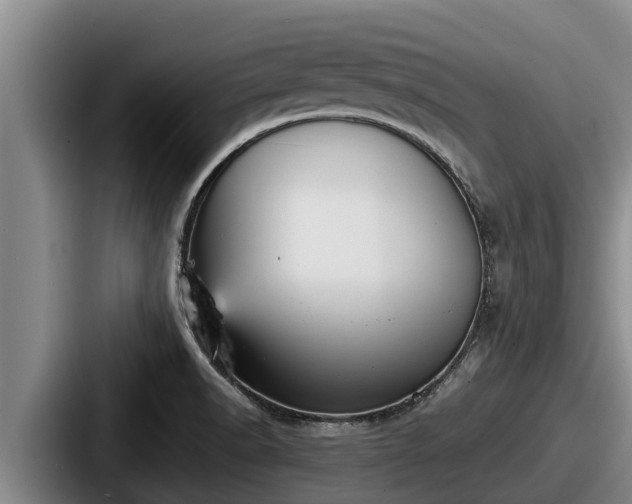 X0000087691518200705111310