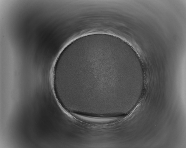 X0000087691519200705111310