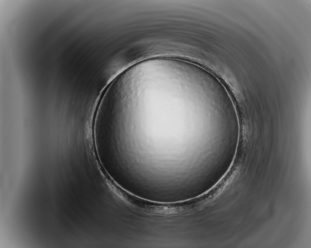 X0000087691521200705111310