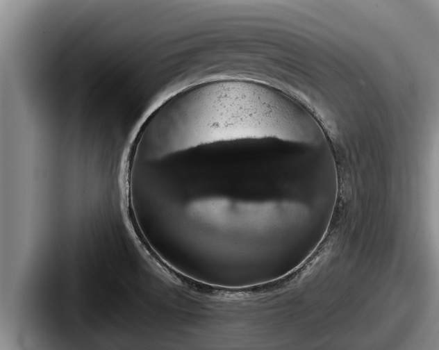 X0000087691522200705111310
