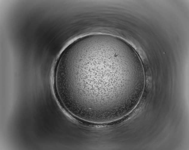 X0000087691523200705111310