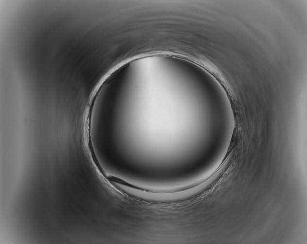 X0000087691524200705111310