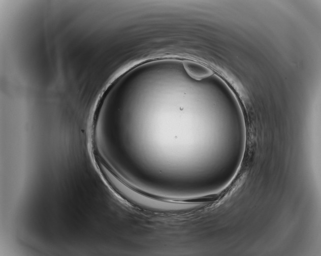 X0000087691525200705111310