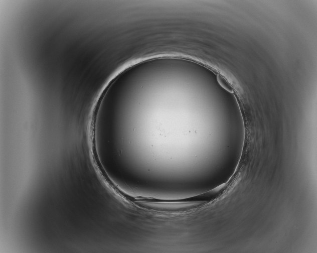 X0000087691526200705111310