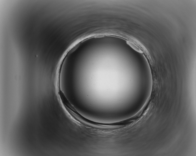 X0000087691528200705111310