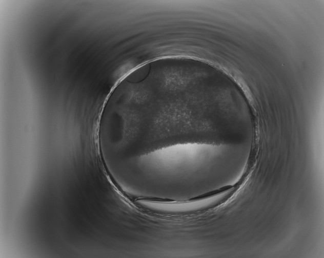 X0000087691529200705111310