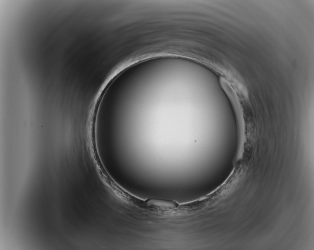 X0000087691530200705111310