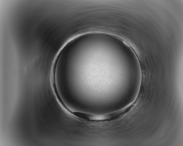 X0000087691531200705111310
