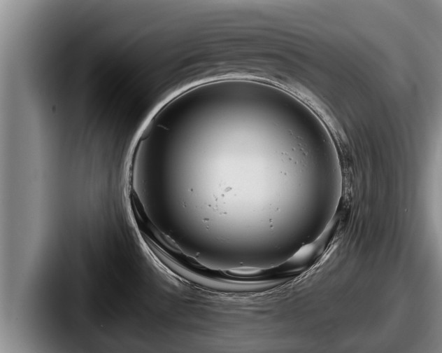 X0000087691532200705111310