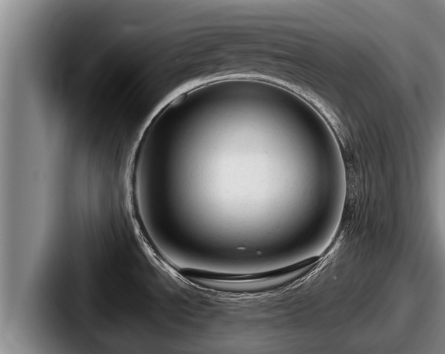 X0000087691534200705111310