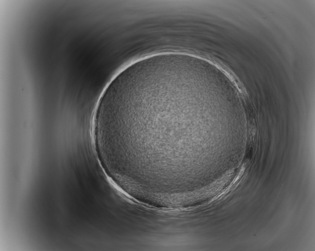 X0000087691535200705111310
