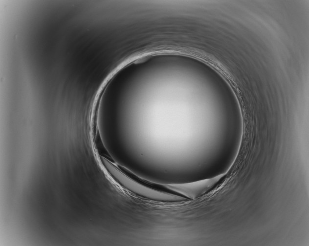 X0000087691536200705111310
