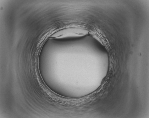 X0000087690001200705181806