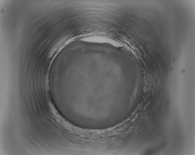 X0000087690002200705181806