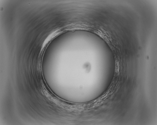 X0000087690004200705181806