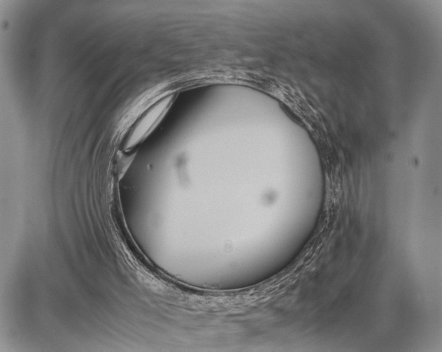 X0000087690005200705181806