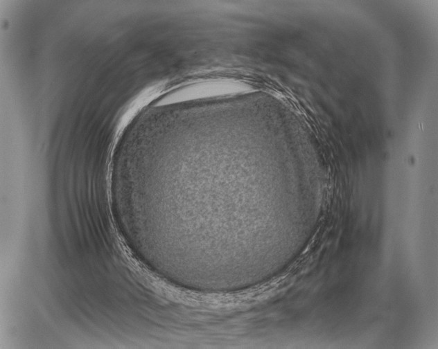 X0000087690006200705181806