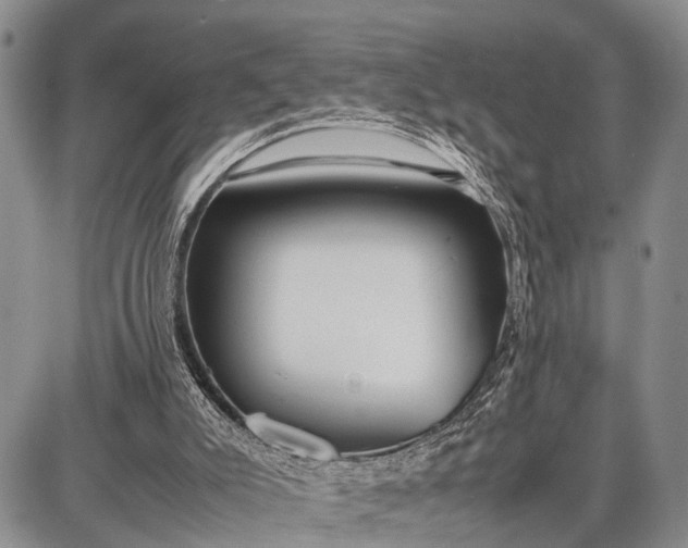 X0000087690007200705181806