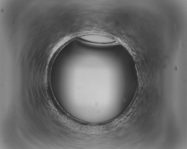 X0000087690008200705181806