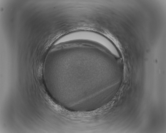 X0000087690009200705181806