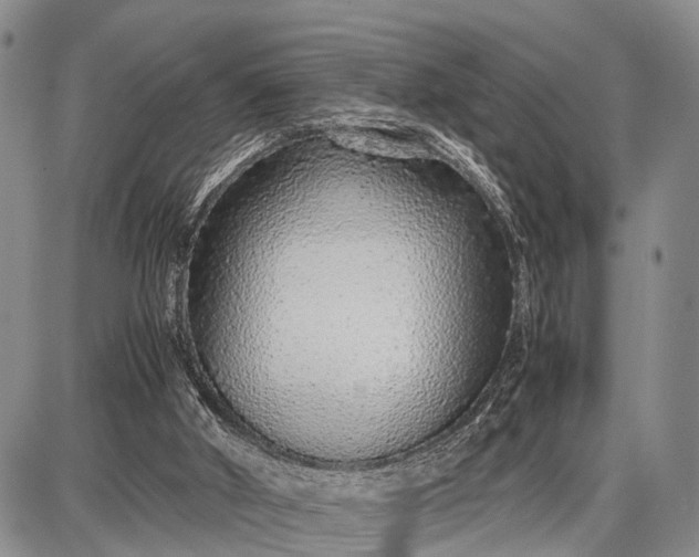 X0000087690010200705181806