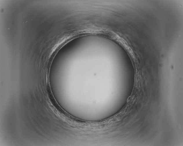 X0000087690011200705181806