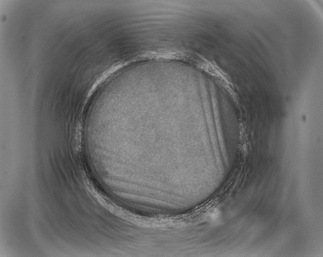 X0000087690012200705181806