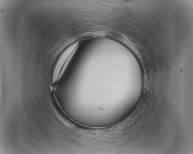 X0000087690013200705181806