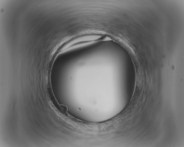 X0000087690015200705181806