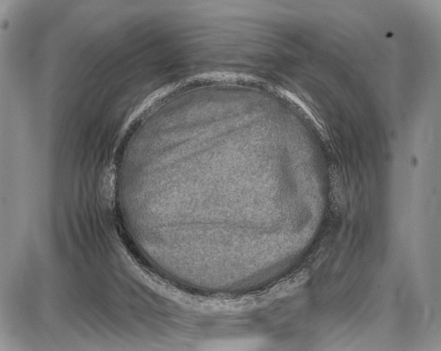 X0000087690016200705181806