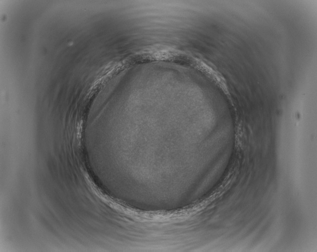 X0000087690018200705181806