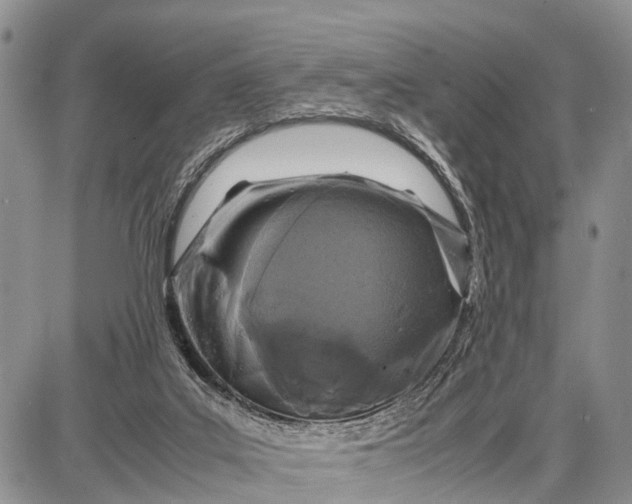 X0000087690019200705181806