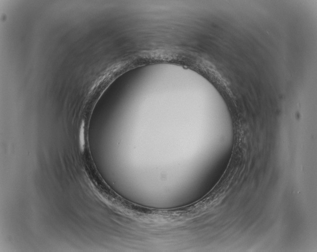 X0000087690020200705181806