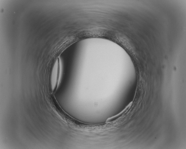 X0000087690021200705181806