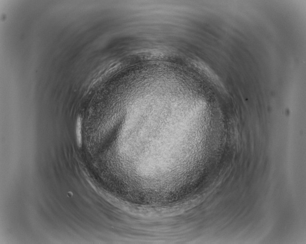 X0000087690022200705181806